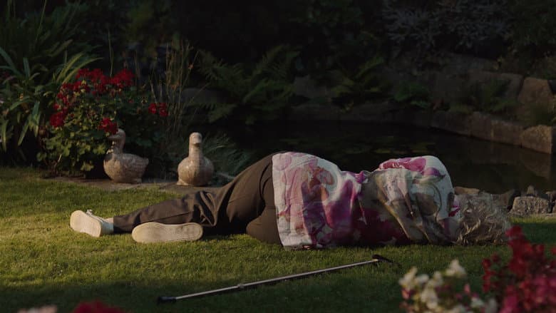 Backdrop from On Mothers and Daughters
