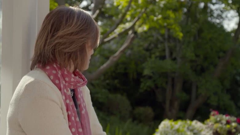 Backdrop from Brexit Shorts: Time to Leave