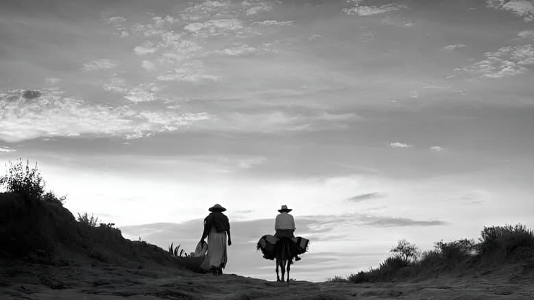 Backdrop from One Hundred Years with Juan Rulfo