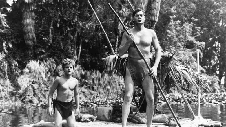 Backdrop from Tarzan and the Amazons