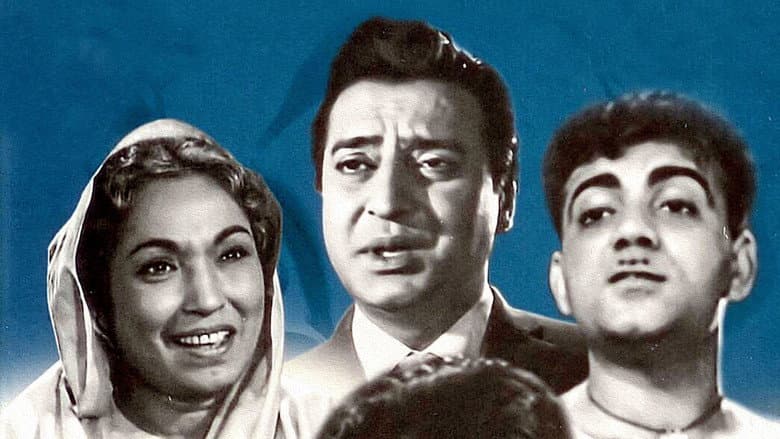 Backdrop from Biradari