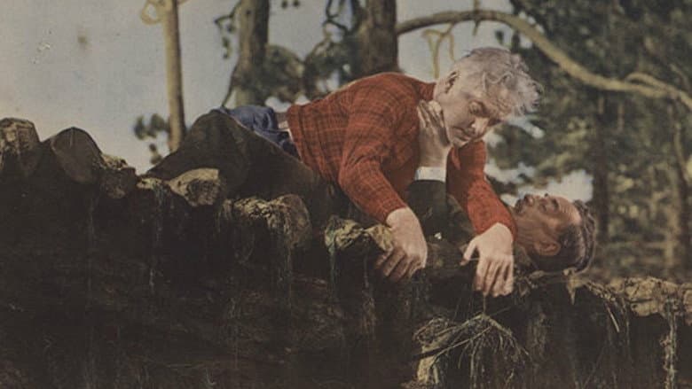 Backdrop from Lumberjack
