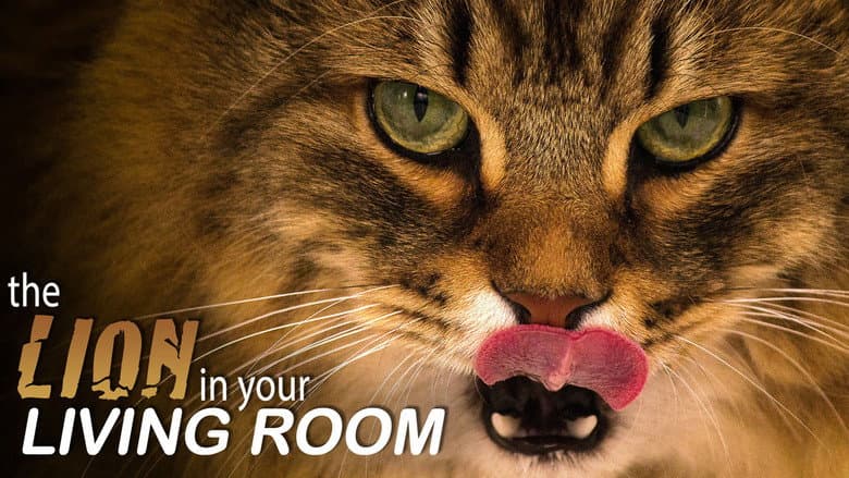 Backdrop from The Lion In Your Living Room