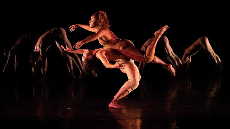 Backdrop from Pilobolus