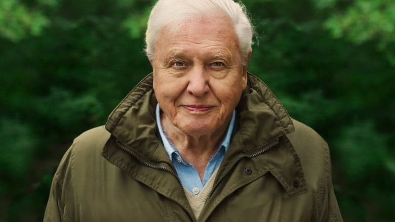 Backdrop from David Attenborough: A Life on Our Planet