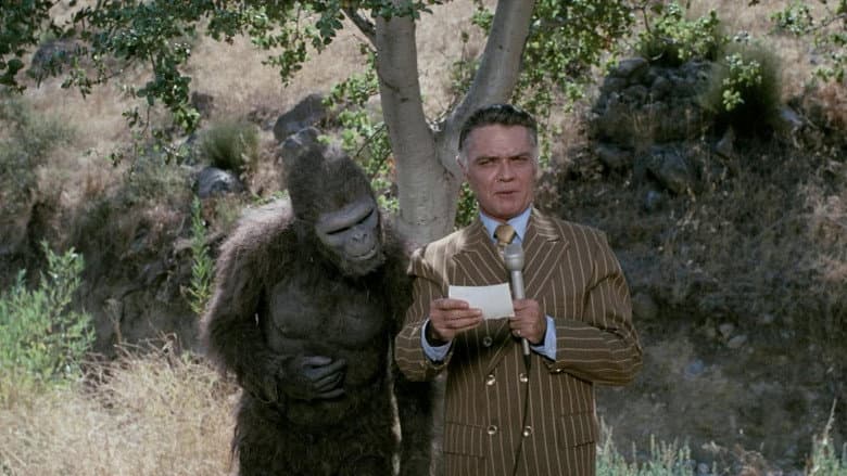 Backdrop from Schlock