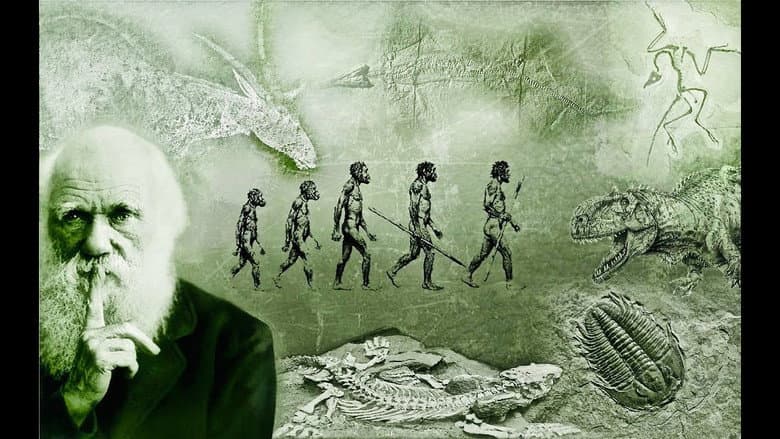 Backdrop from What Darwin Never Knew