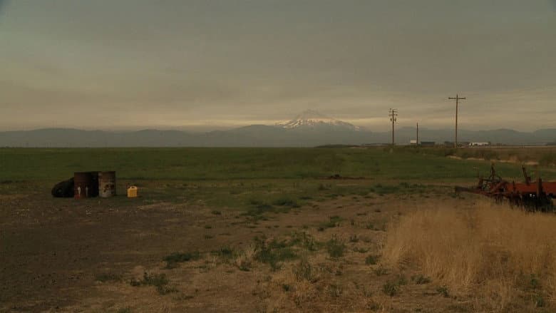 Backdrop from L. Cohen