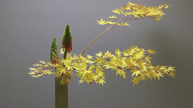Backdrop from Ikebana