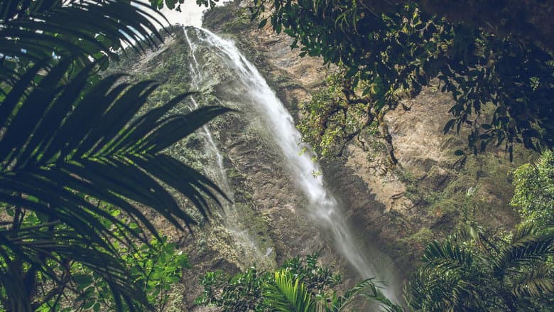 Backdrop from Contrasts of Peru