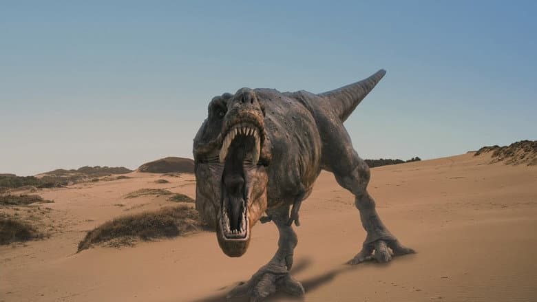 Backdrop from Dinosaurs Alive