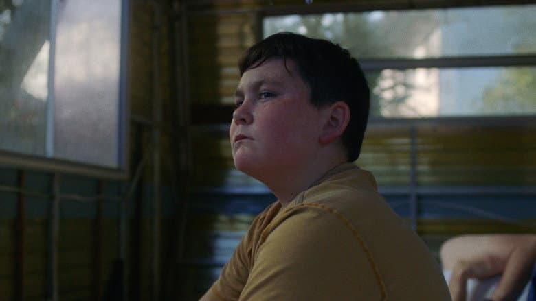 Кадр із фільму «We Used to Own Houses»