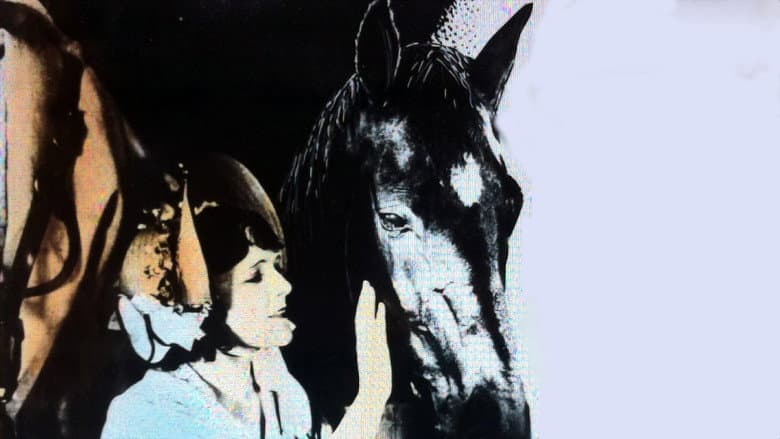 Backdrop from Black Beauty