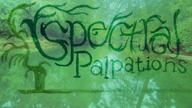 Backdrop from Spectral Palpations