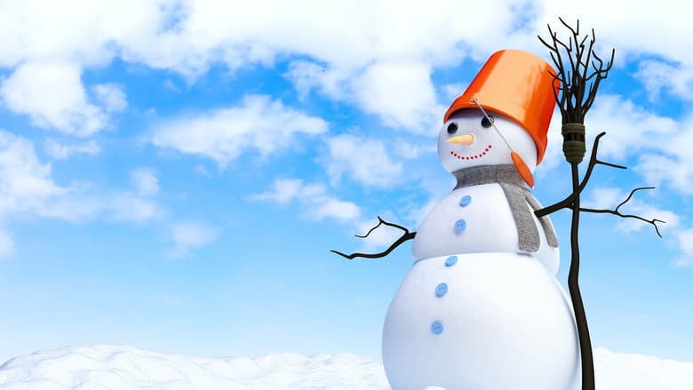 Backdrop from Summer Snowman