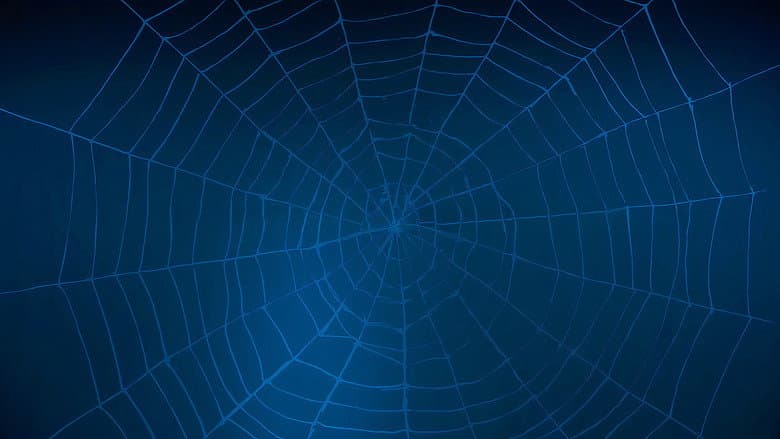 Backdrop from A Fan's Guide to Spider-Man Homecoming
