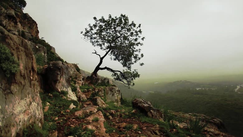 Backdrop from Is Mindfulness Right for You?