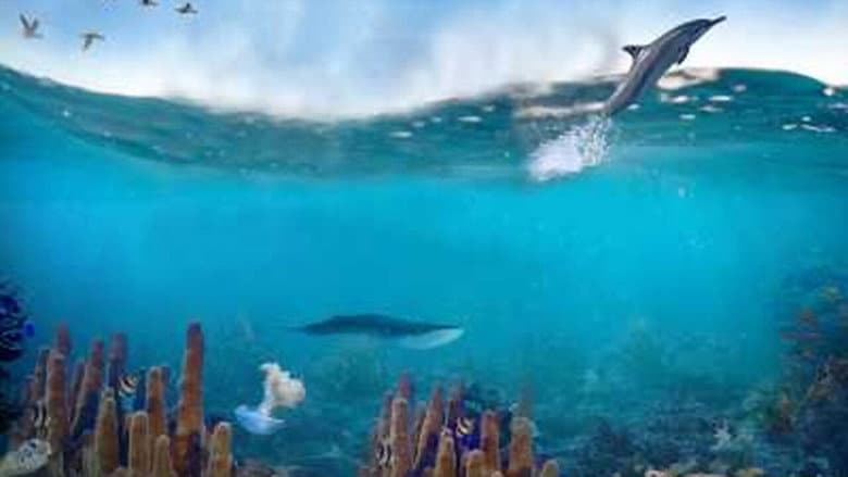 Backdrop from Great Barrier Reef