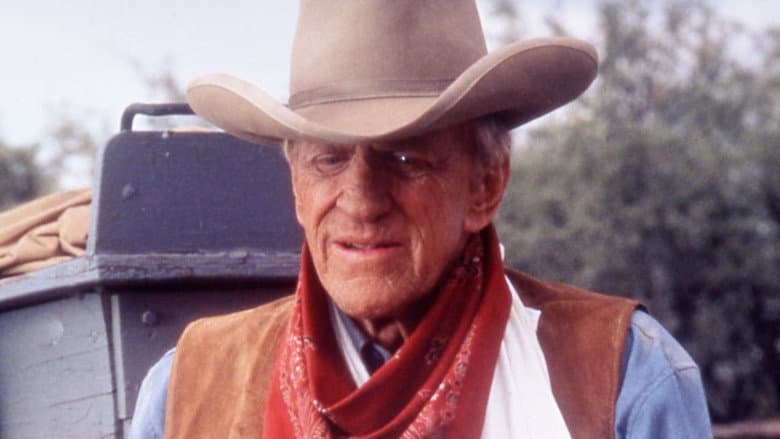 Backdrop from Gunsmoke: One Man's Justice