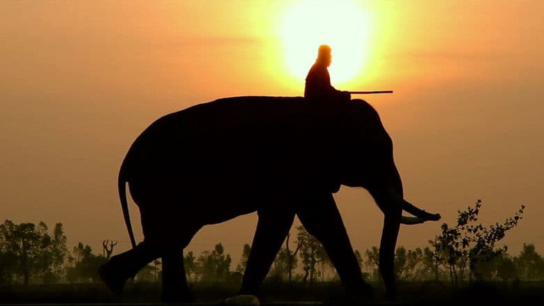 Backdrop from When Elephants Were Young