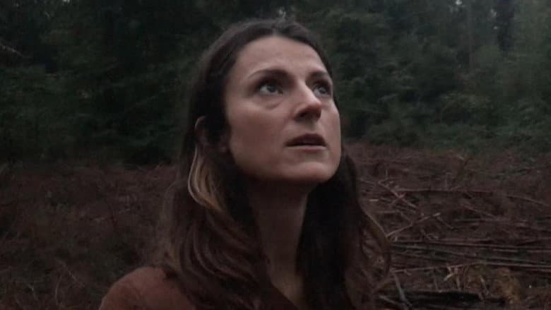 Backdrop from Evil in the Woods