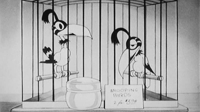 Backdrop from The Bird Store