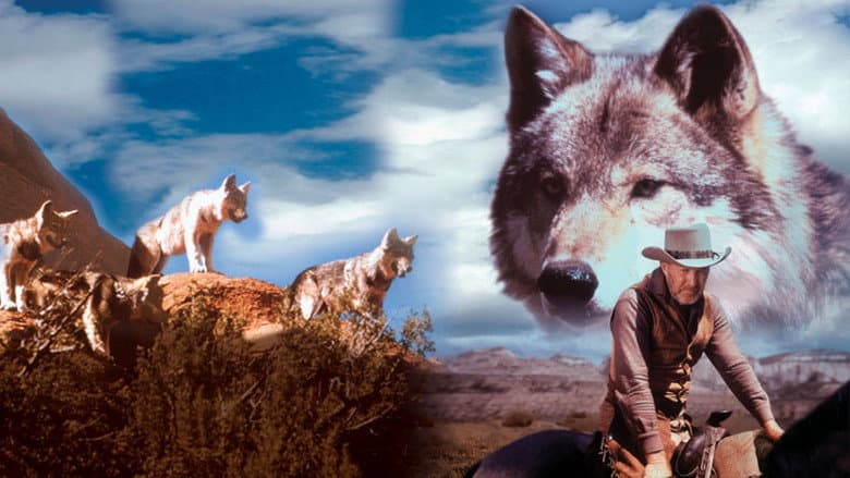 Backdrop from The Legend of Lobo
