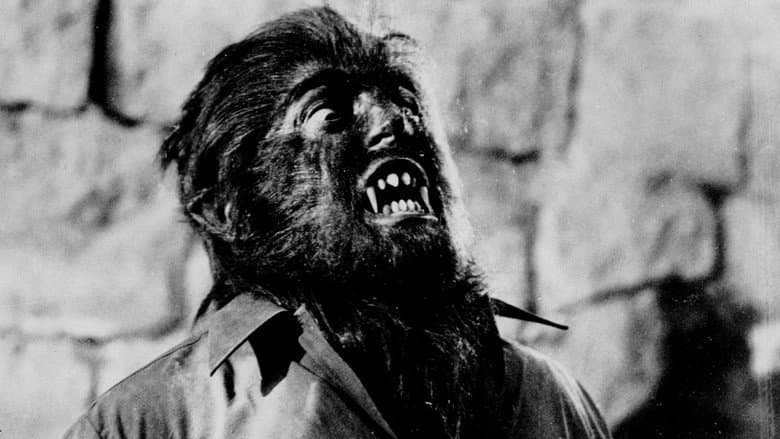 Backdrop from Paul Naschy: la sonrisa del lobo