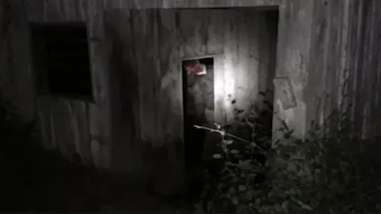 Backdrop from The Fear Footage 3AM