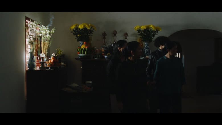 Backdrop from White Butterfly