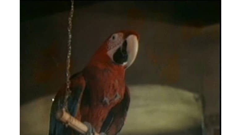 Backdrop from The Parrot Speaking Yiddish