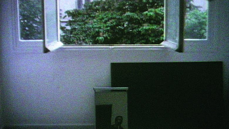 Backdrop from Girl Reading a Letter by an Open Window