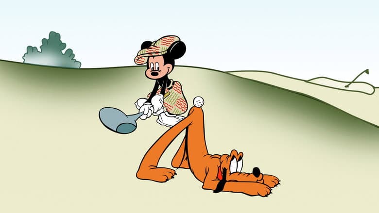Backdrop from Canine Caddy