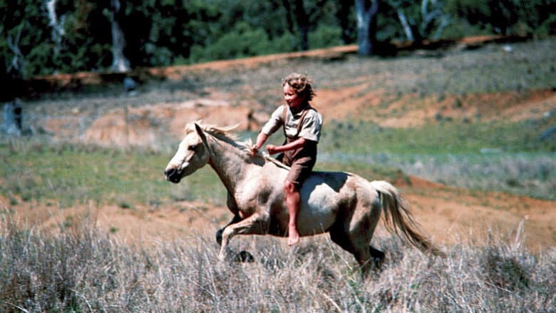 Backdrop from Ride a Wild Pony