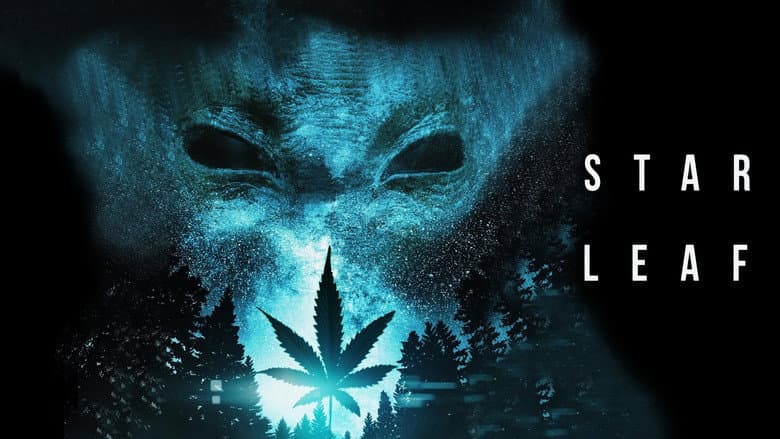Backdrop from Star Leaf