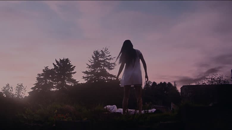Backdrop from The Son of La Llorona