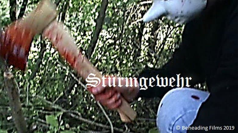 Backdrop from Sturmgewehr
