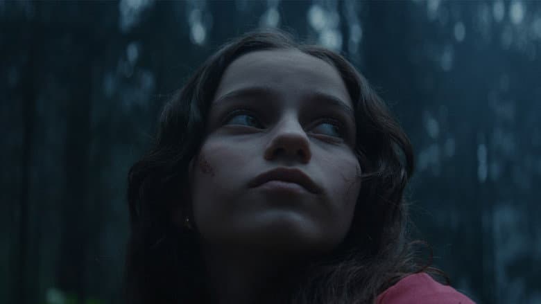 Backdrop from Vioma