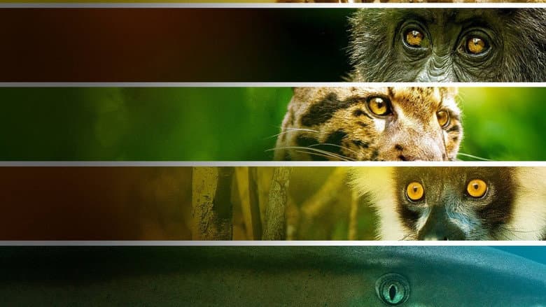 Backdrop from Endangered