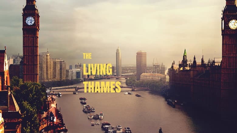 Backdrop from The Living Thames