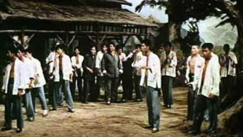 Backdrop from Rage of the Tiger