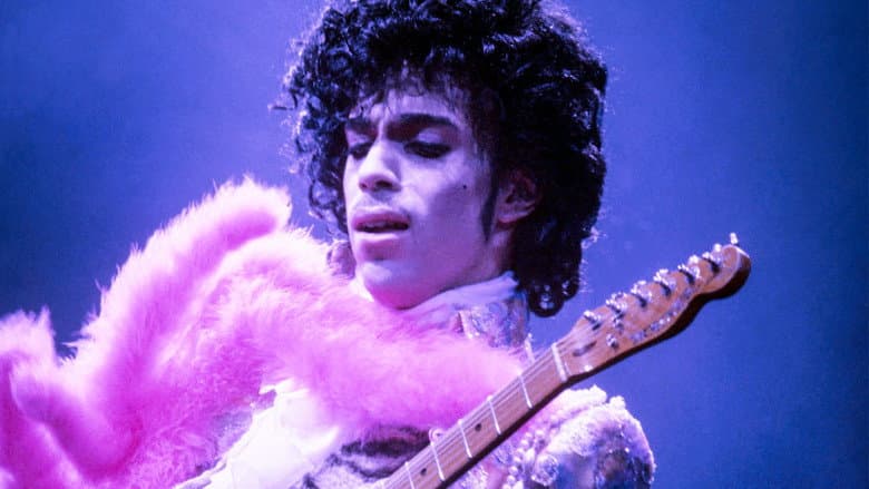 Backdrop from Prince: A Purple Reign