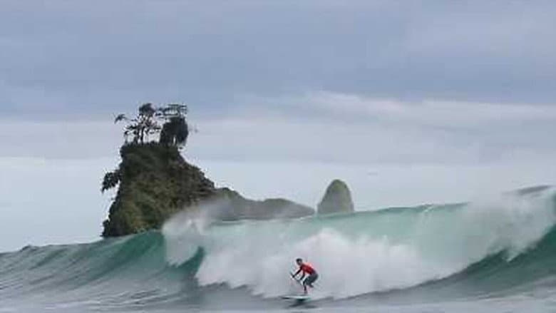 Backdrop from The Green Wave