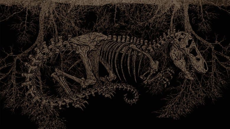 Backdrop from Tyrannosaur