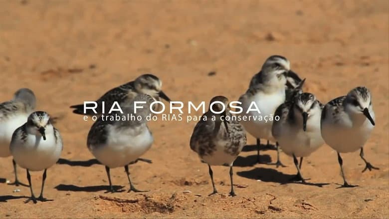Backdrop from Ria Formosa e o Trabalho do RIAS para a Conservação