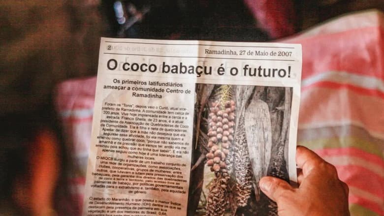 Backdrop from Babaçu Love