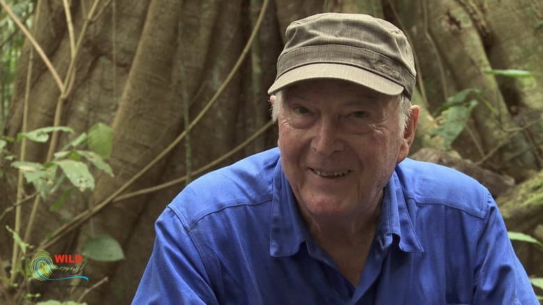 Backdrop from Botanist Francis Hallé Explains...