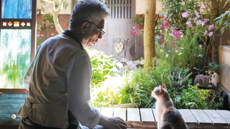 Backdrop from Teacher and Stray Cat