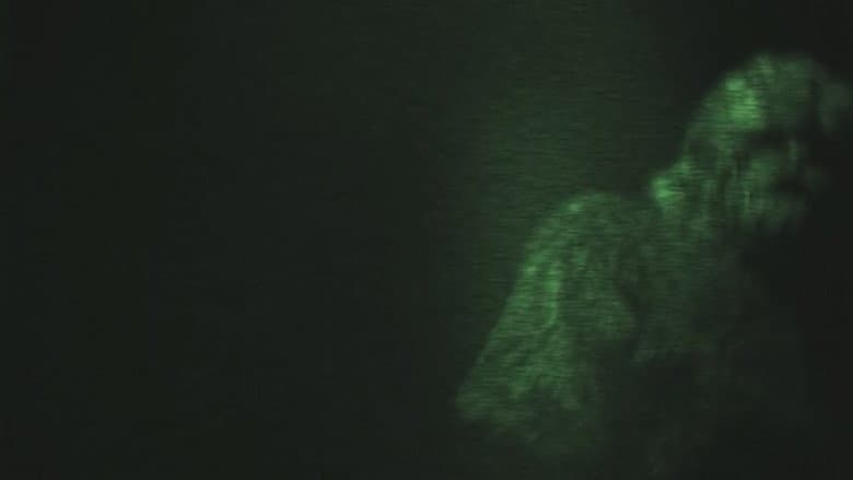 Backdrop from On the Trail of Bigfoot: The Journey
