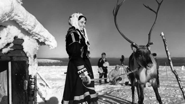 Backdrop from The White Reindeer